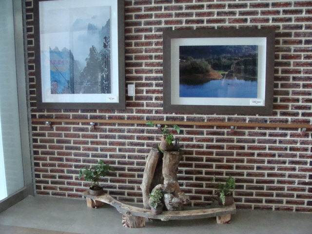 풀꽃세상 이미지 15