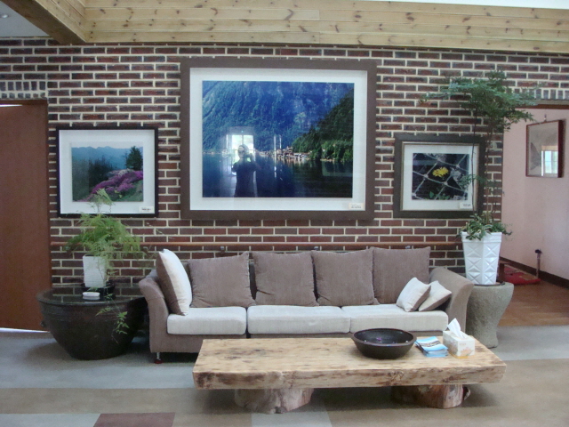 풀꽃세상 이미지 14