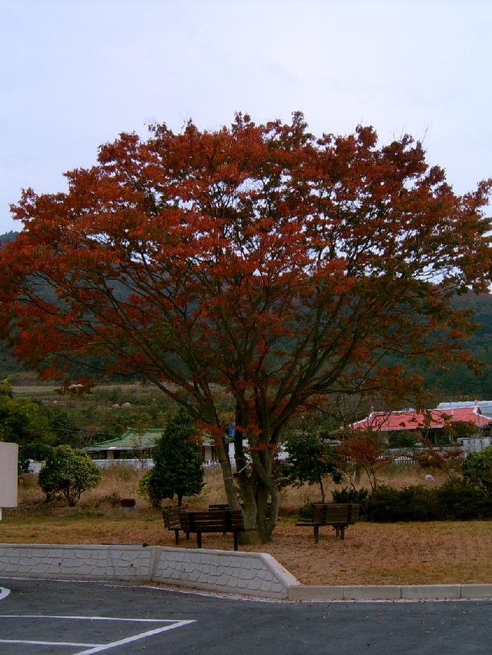 청해요양원 이미지 15