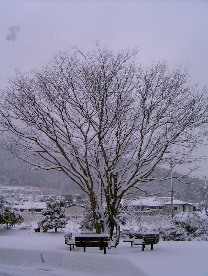 청해요양원 이미지 14