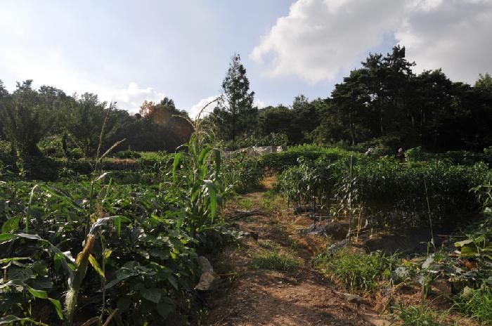 효사랑고향의집 이미지 17