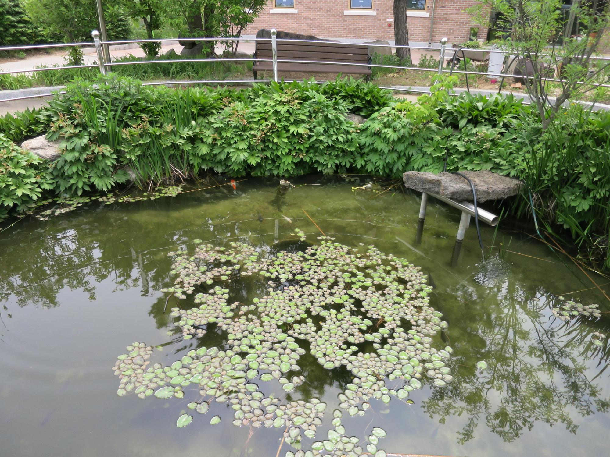 철원군노인전문요양원 이미지 8