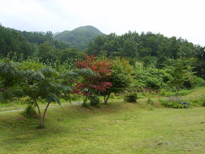 소망의집 이미지 12