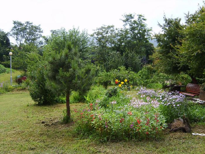 소망의집 이미지 10