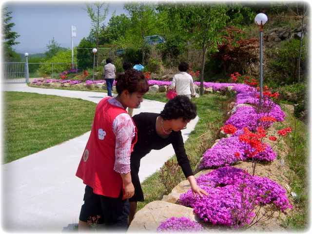 하늘지기 이미지 19