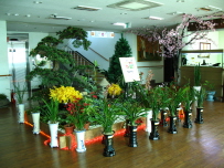 도솔천노인요양원 이미지 4