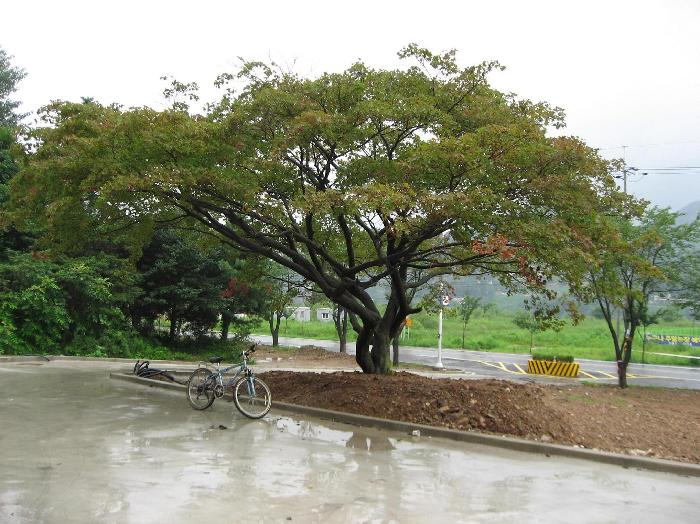 한솔너싱홈청평센터 이미지 4