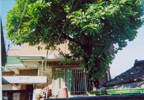 태양의집 이미지 2