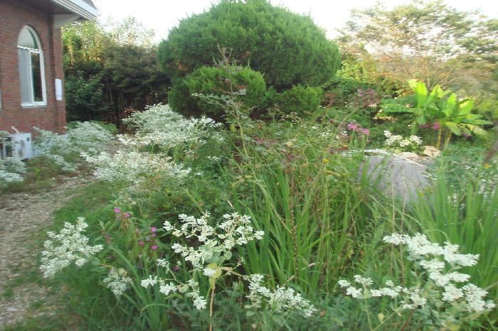 맘편한노인요양시설 이미지 6