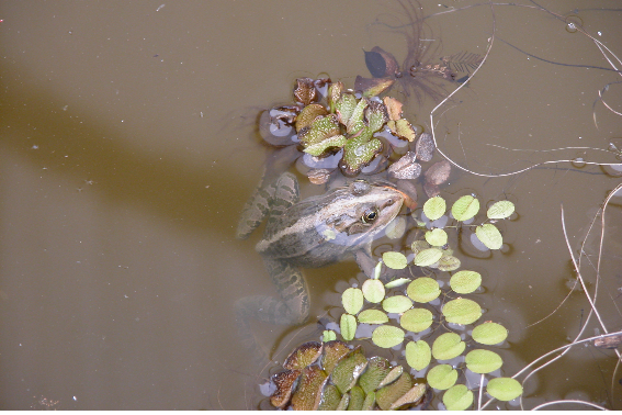 전남성노원 이미지 10