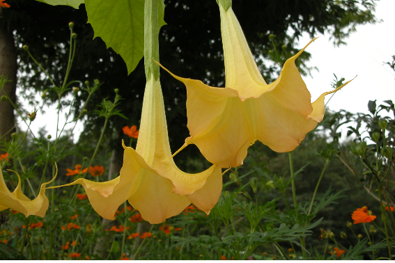 전남성노원 이미지 9