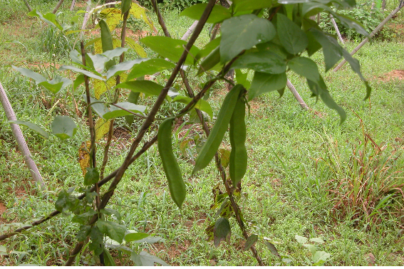 전남성노원 이미지 8