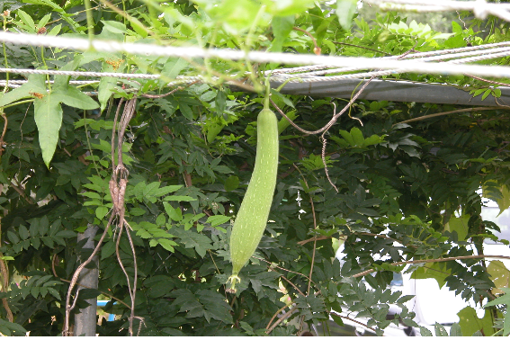 전남성노원 이미지 7