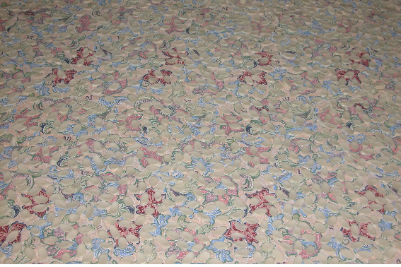 전남성노원 이미지 6