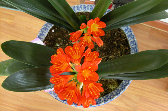 전남성노원 이미지 5