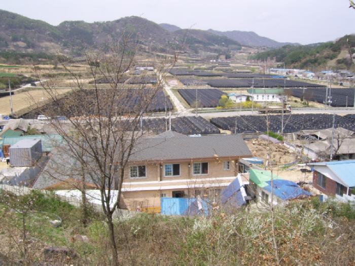 나눔과 사랑의 집