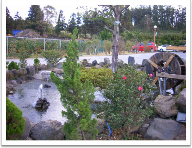 효사랑 이미지 10