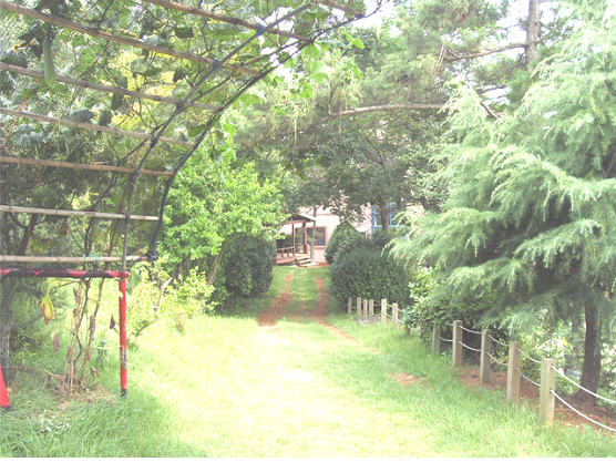 보성군립노인요양원밝은동산 이미지 6