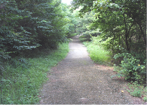 보성군립노인요양원밝은동산 이미지 5