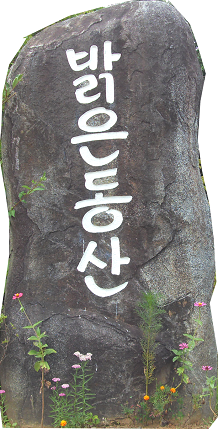 보성군립노인요양원밝은동산 이미지 4