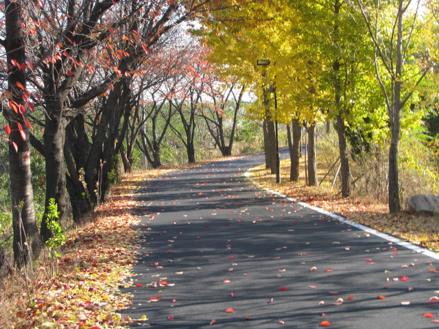 동오요양원 이미지 14