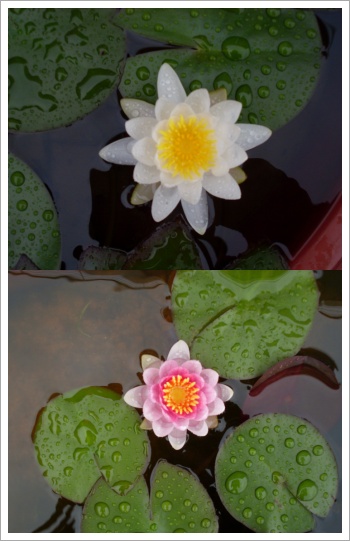 첨단원광실버홈 이미지 3