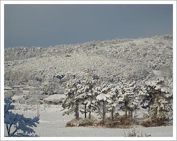 첨단원광실버홈 이미지 16