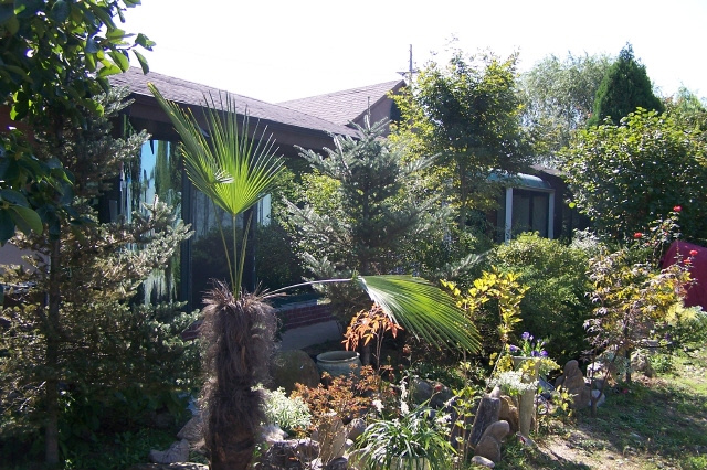 일산무지개마을 이미지 12