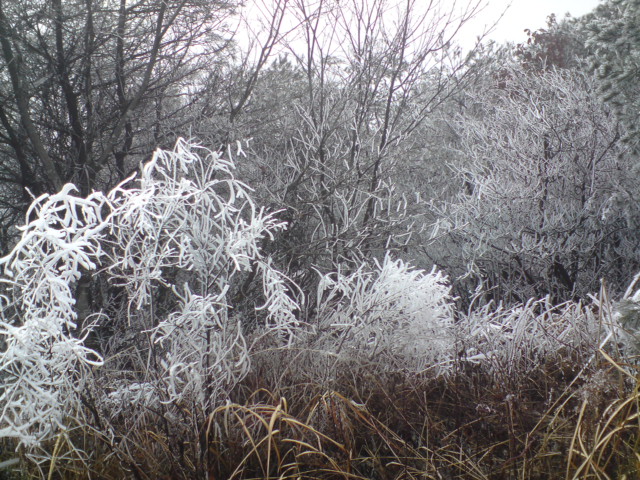 행복마을 이미지 10