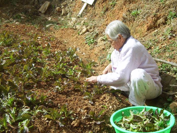 호산노인건강센터 이미지 17