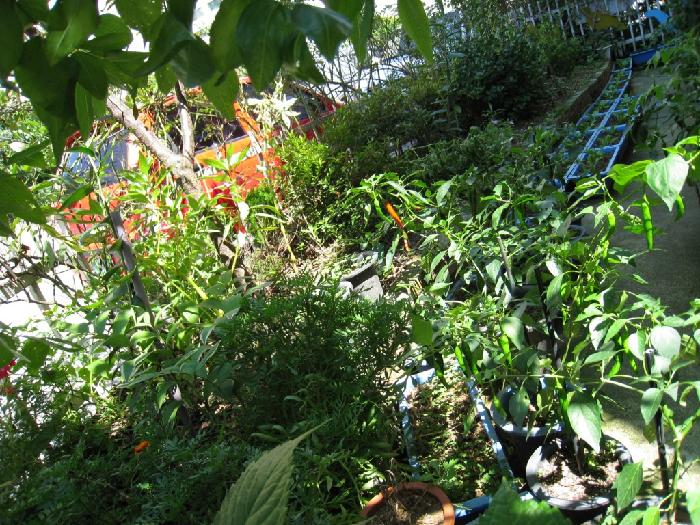 시온의집 요양원 이미지 9