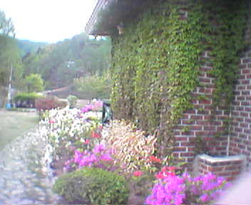 로뎀의 집 이미지 5