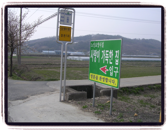 사랑이 가득한 집 이미지 8