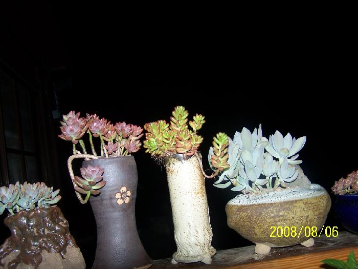 정겨운 뜰안 이미지 26