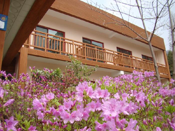 효자의 집 이미지 8