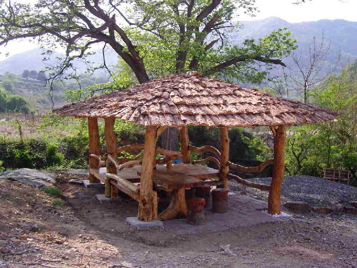 금성노인요양원 이미지 14