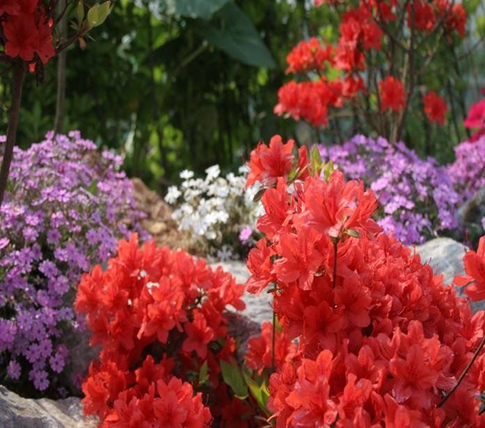 에덴동산요양원 이미지 8