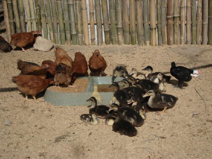 정읍원광요양원 이미지 9