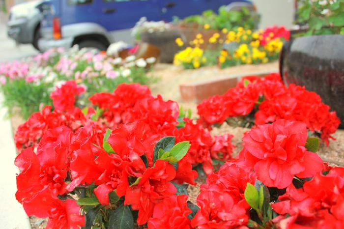 다인실버홈 이미지 11