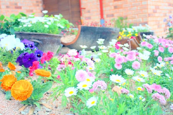 다인실버홈 이미지 10