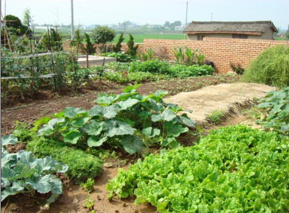 북익산소망의집 이미지 25