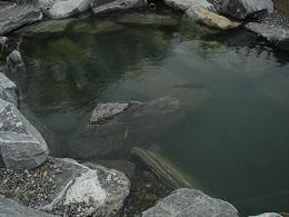 희락원 이미지 15