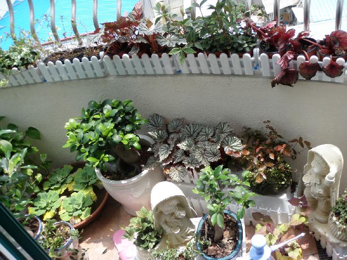 미래은빛요양원 이미지 10