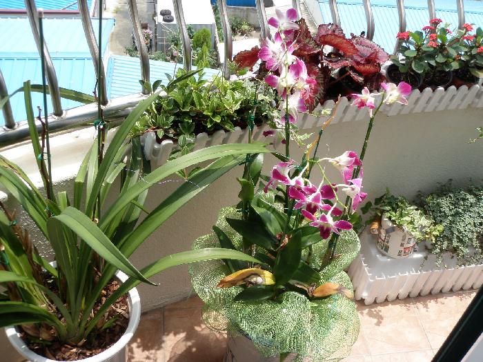 미래은빛요양원 이미지 9