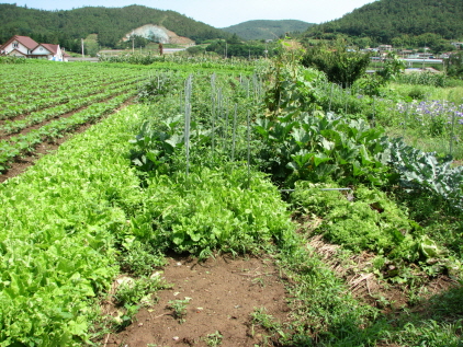 현천노인요양원 이미지 5