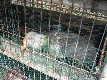 현천노인요양원 이미지 4