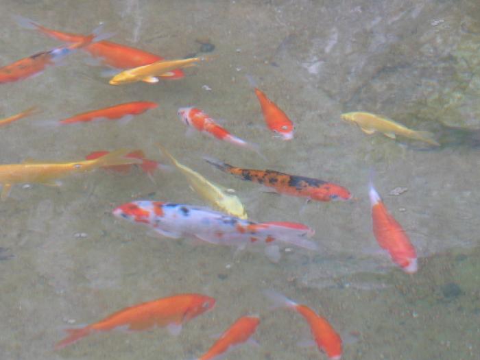 주빌리너싱홈 이미지 13