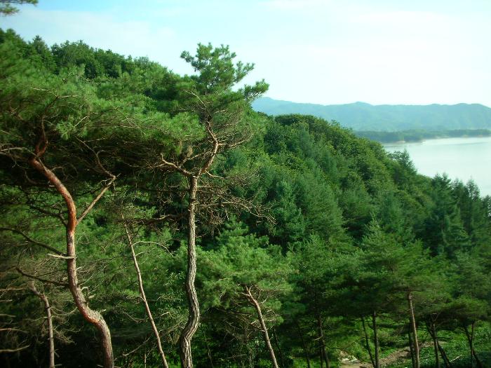 아름다운노인요양원 이미지 10