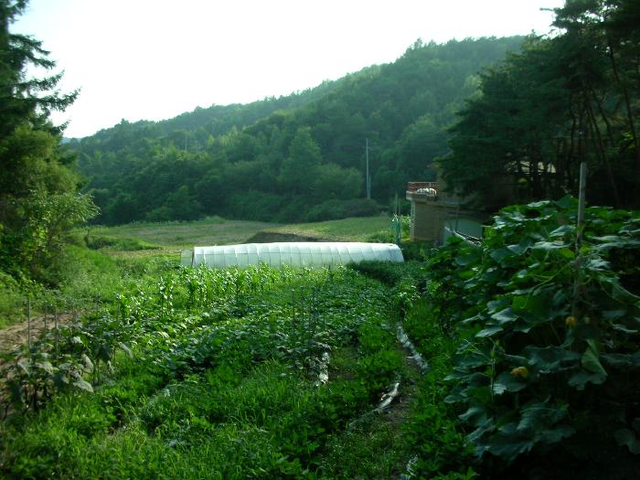 아름다운노인요양원 이미지 9