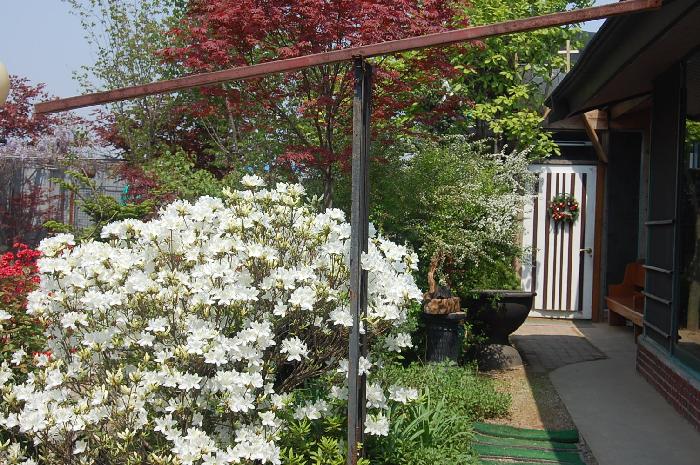 일산무지개마을 이미지 8